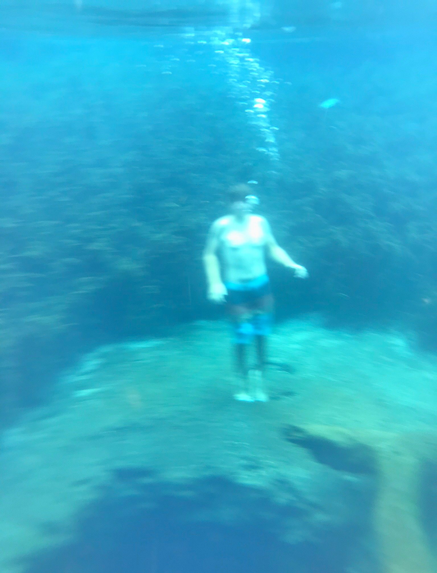 picture of boy underwater at blue hole near Gainesville Florida