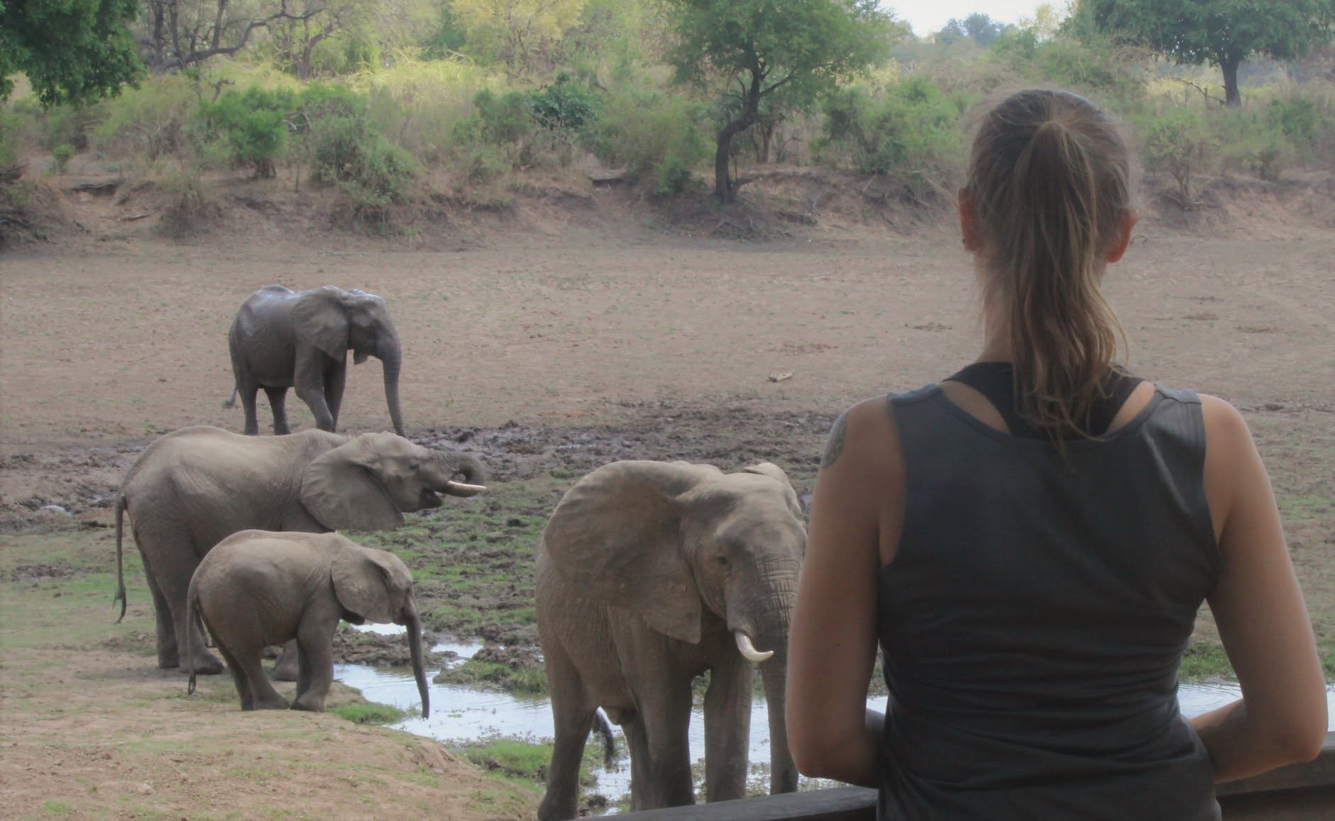 Karlyn watching an elephant family at a waterhole in Zambia