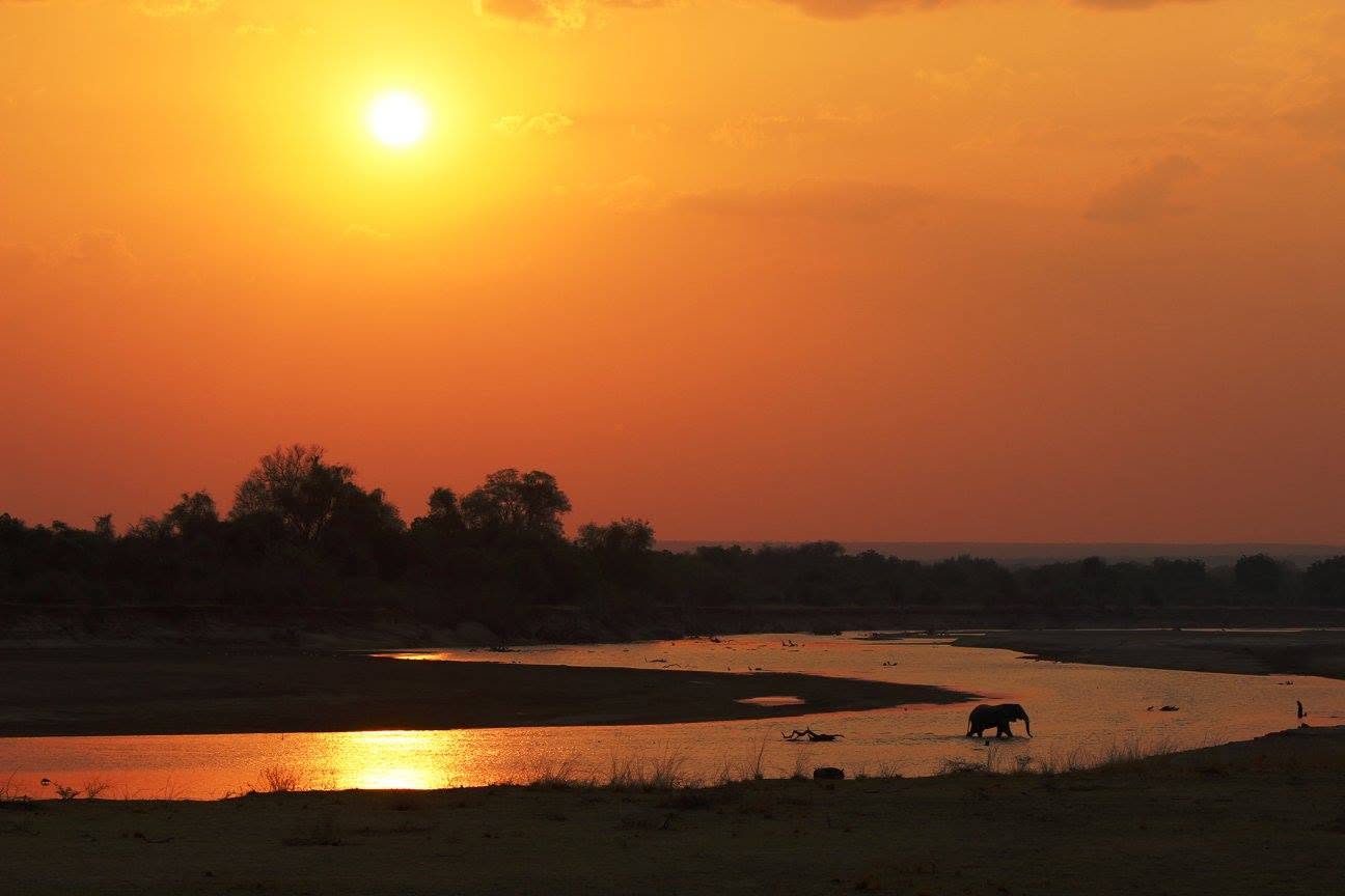 Sunset over the Luangwa River with a lone elephant in the water